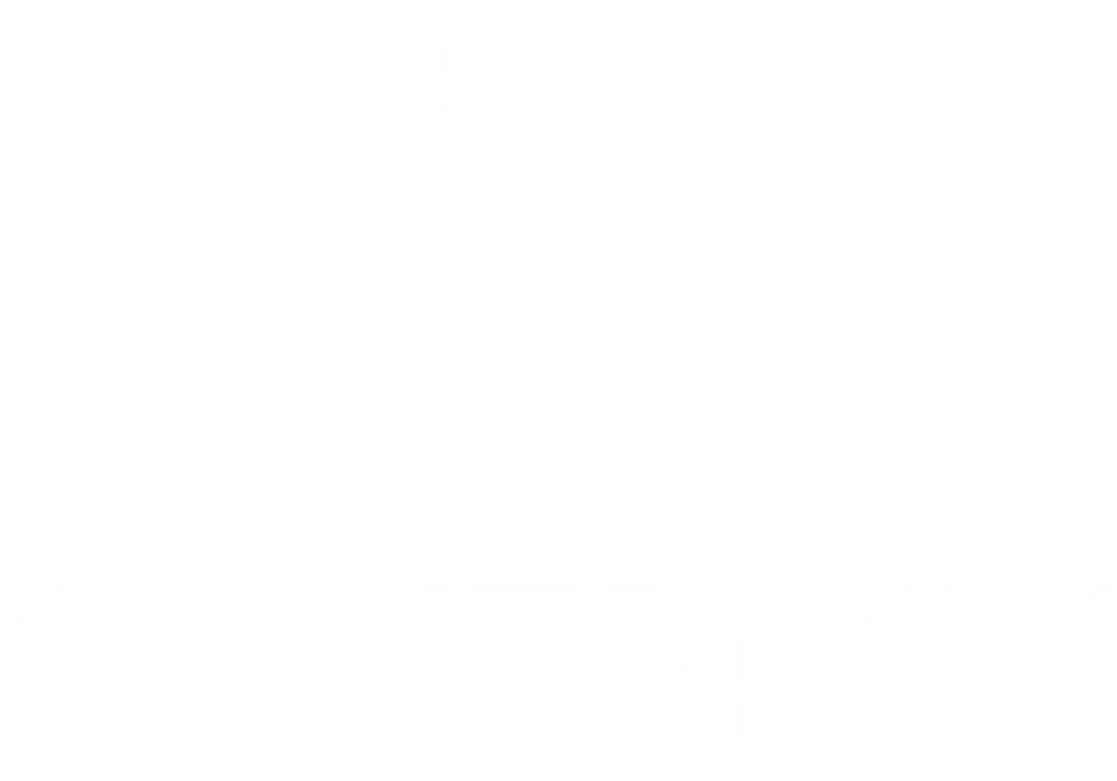 white_logo_transparent_background-e1739537376967